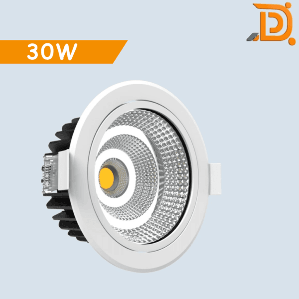 30W COB LED Light