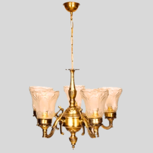Lights from Dev Electricals